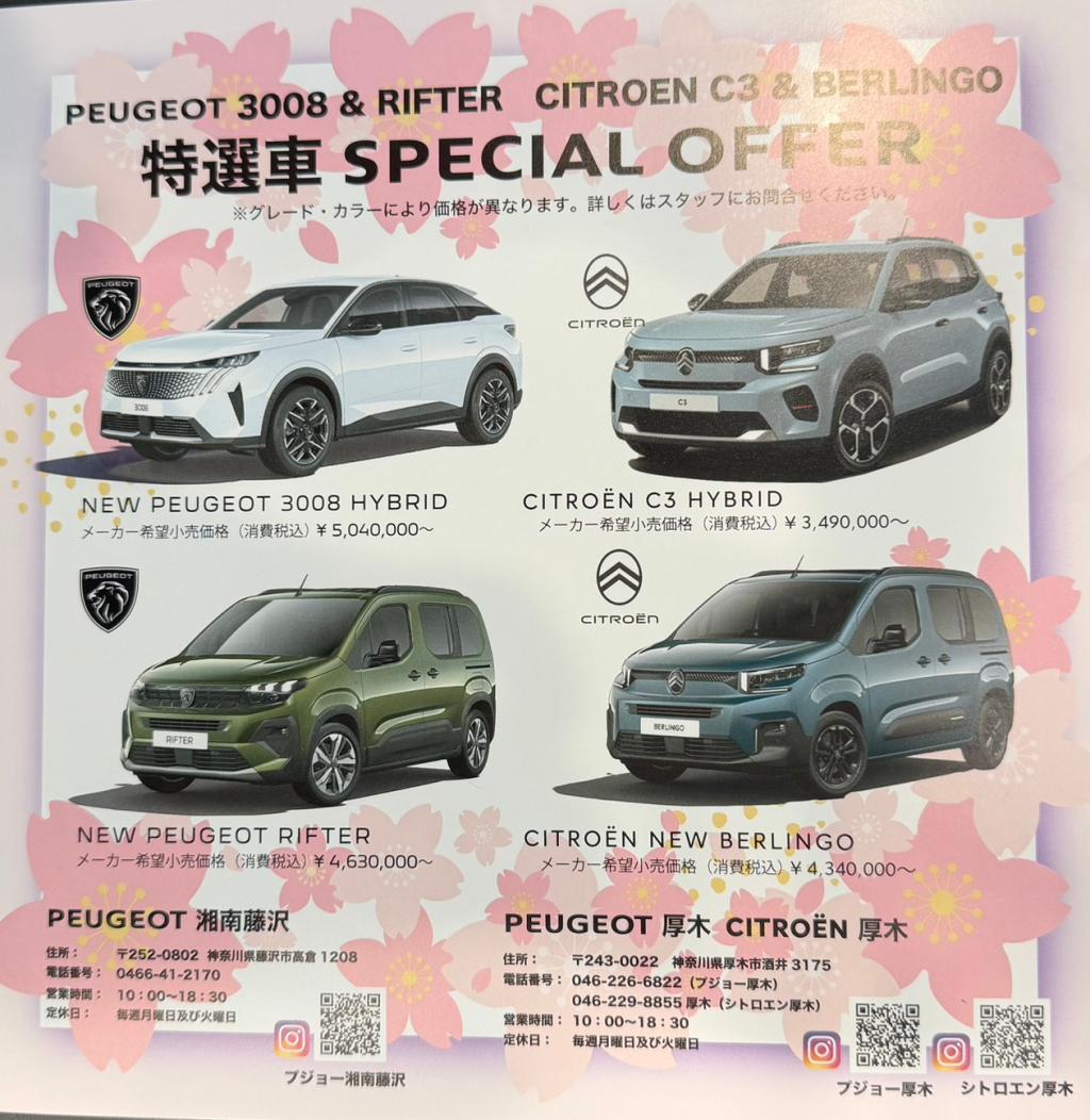 桜まつりイベント開催🌸🌸