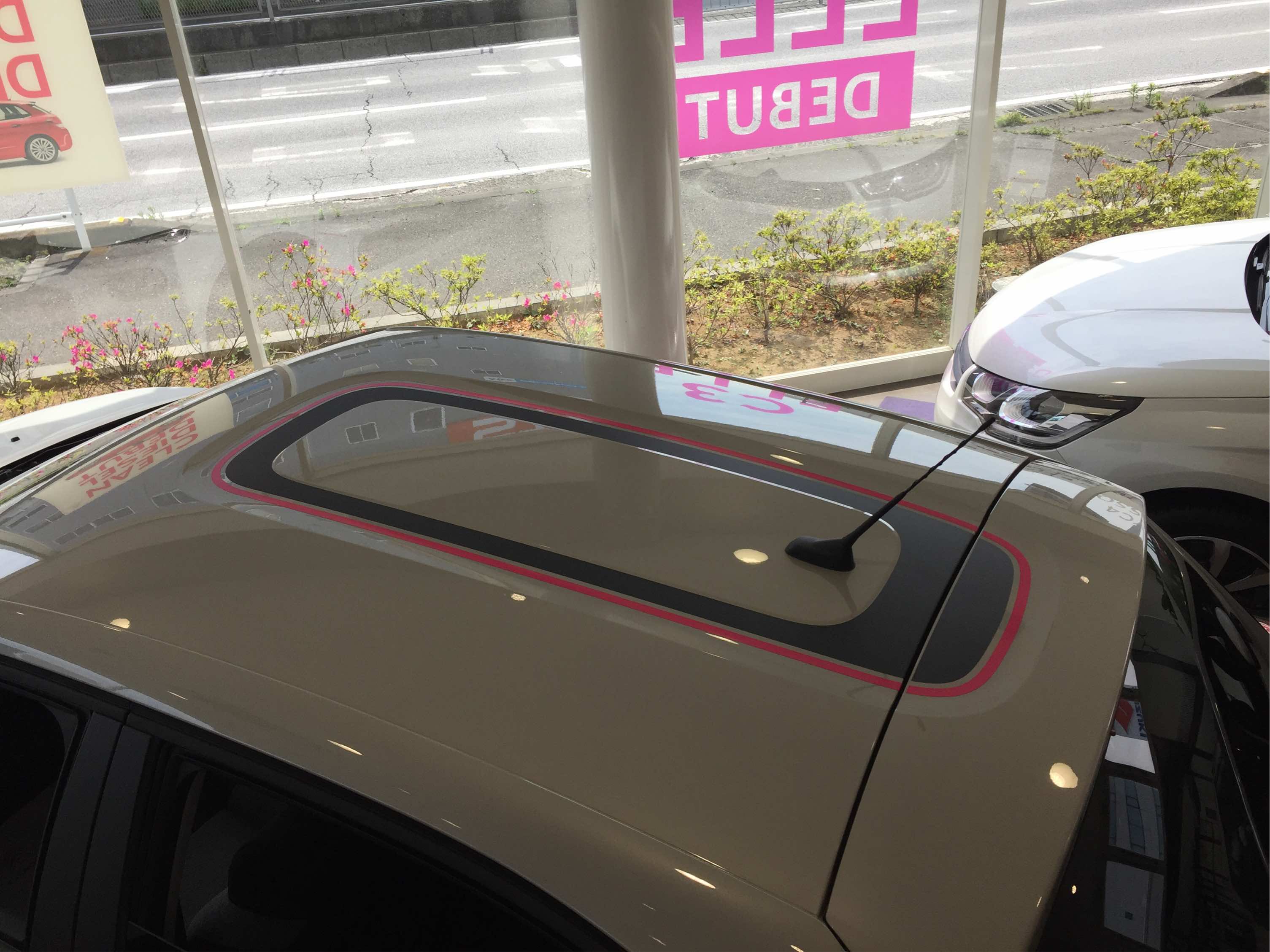 C3 ELLE入庫致しました！！！